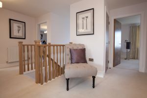 chestnut shadwell 36 sm.jpg